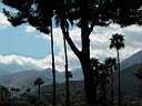 Palm Springs 028.JPG